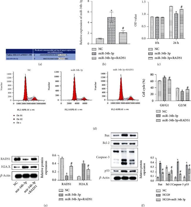 https://cdn.ncbi.nlm.nih.gov/pmc/blobs/ba41/8390166/1f2b5a01ed46/MI2021-9978882.005.jpg
