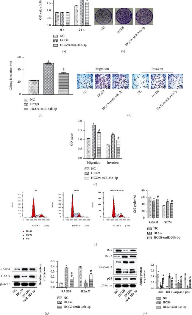 https://cdn.ncbi.nlm.nih.gov/pmc/blobs/ba41/8390166/a3e377fda144/MI2021-9978882.004.jpg