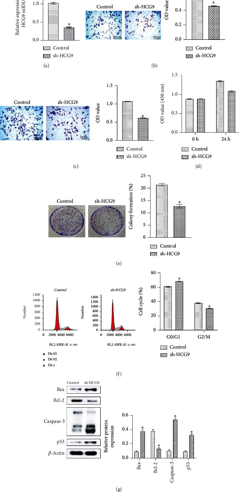 https://cdn.ncbi.nlm.nih.gov/pmc/blobs/ba41/8390166/f65532f19470/MI2021-9978882.002.jpg