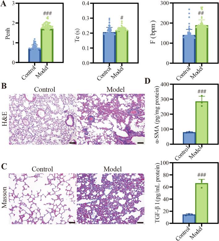 https://cdn.ncbi.nlm.nih.gov/pmc/blobs/ba43/11685140/52567a29de66/fphar-15-1503283-g002.jpg
