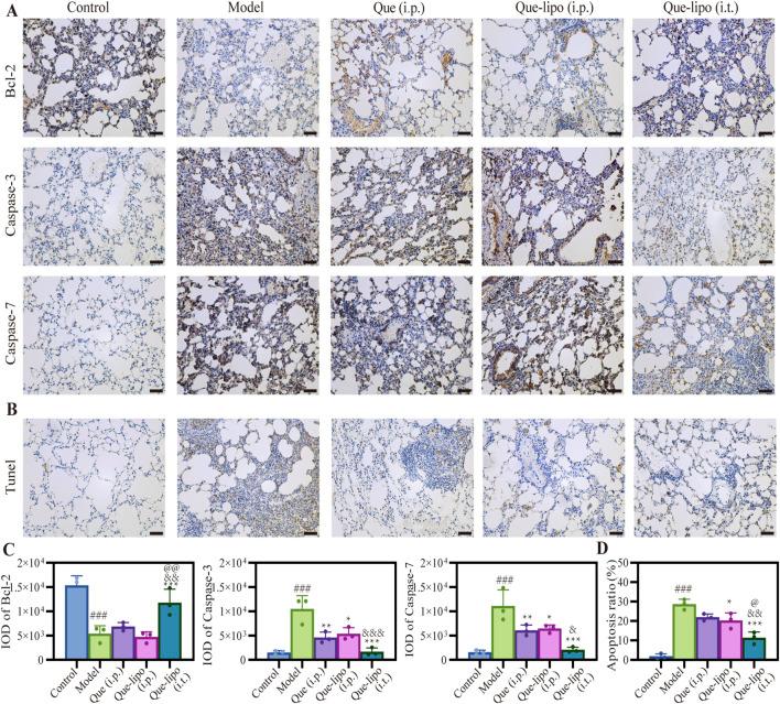 https://cdn.ncbi.nlm.nih.gov/pmc/blobs/ba43/11685140/54e804d09ac0/fphar-15-1503283-g005.jpg