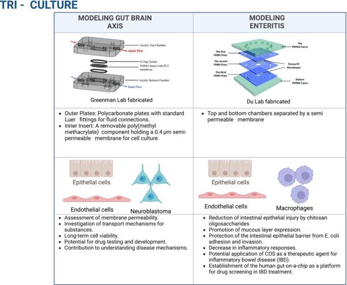 https://cdn.ncbi.nlm.nih.gov/pmc/blobs/ba45/12051376/91239d6d2915/PHY2-13-e70356-g002.jpg