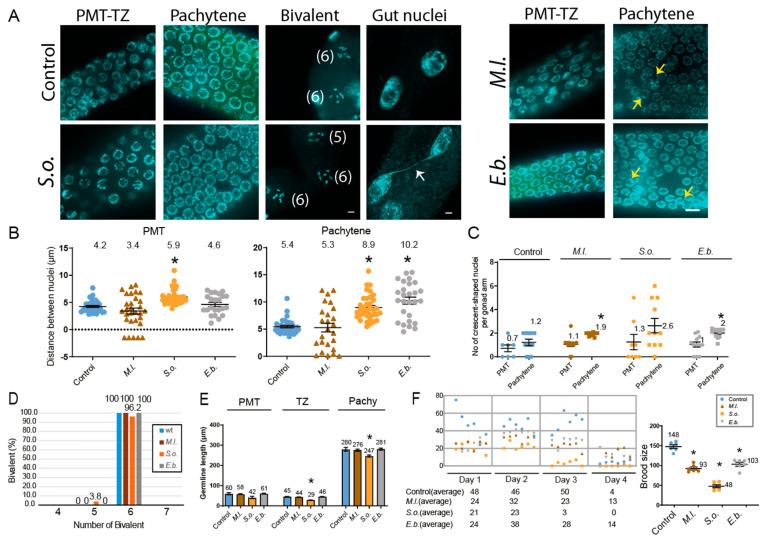 https://cdn.ncbi.nlm.nih.gov/pmc/blobs/ba46/12299367/f2212d047074/pharmaceuticals-18-01030-g003.jpg