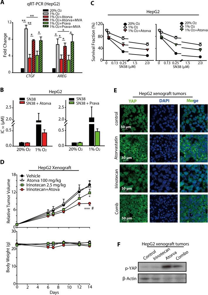 https://cdn.ncbi.nlm.nih.gov/pmc/blobs/ba46/4872759/61f7ef4a981d/oncotarget-07-6933-g006.jpg