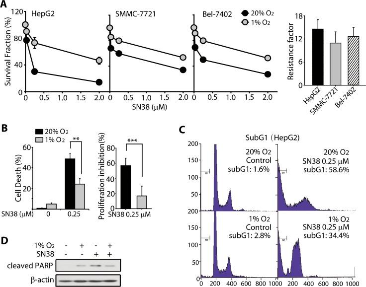 https://cdn.ncbi.nlm.nih.gov/pmc/blobs/ba46/4872759/740421530660/oncotarget-07-6933-g001.jpg