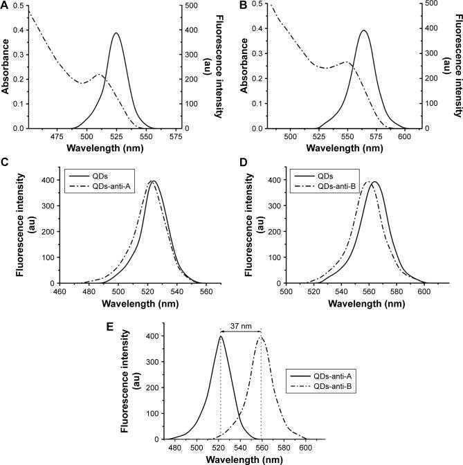 https://cdn.ncbi.nlm.nih.gov/pmc/blobs/ba48/5413539/d634e6d870d5/ijn-12-3347Fig2.jpg