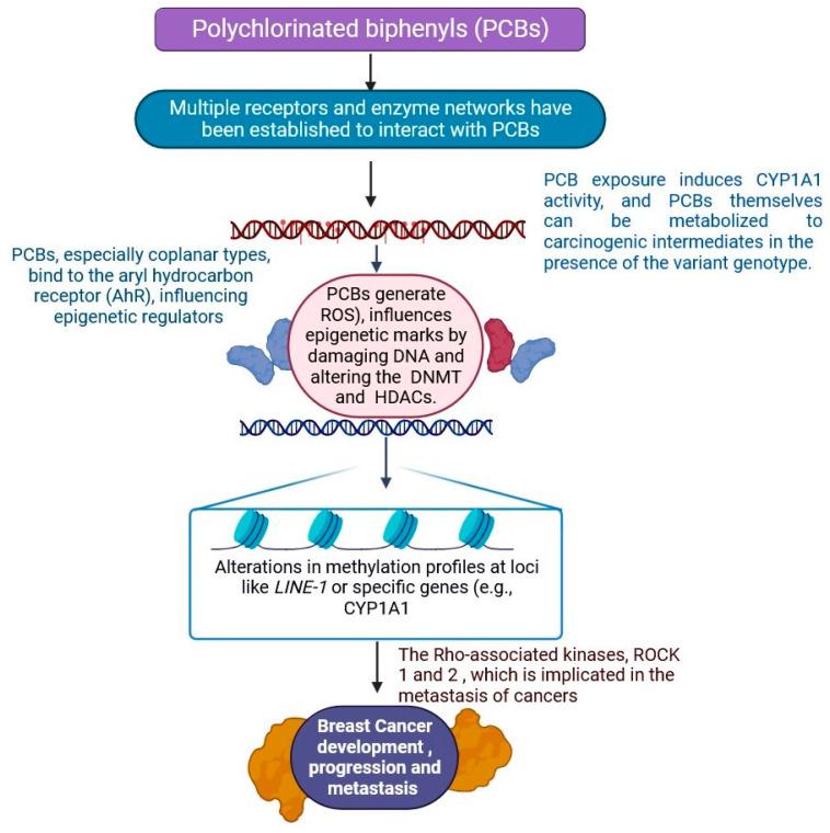 https://cdn.ncbi.nlm.nih.gov/pmc/blobs/ba4a/11755457/5afa93a9f397/jox-15-00001-g007.jpg
