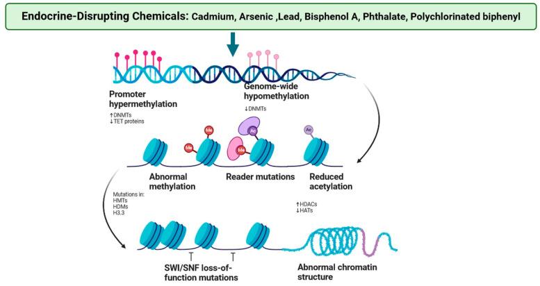 https://cdn.ncbi.nlm.nih.gov/pmc/blobs/ba4a/11755457/9b7cce5b6b68/jox-15-00001-g002.jpg