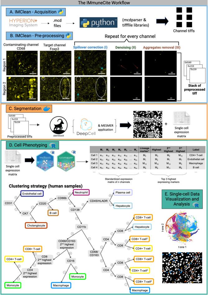 https://cdn.ncbi.nlm.nih.gov/pmc/blobs/ba4a/11920390/11086be549c0/41598_2025_93060_Fig1_HTML.jpg