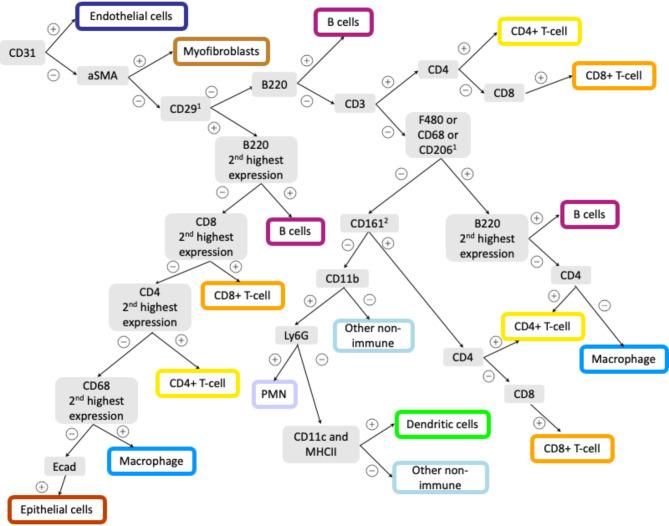 https://cdn.ncbi.nlm.nih.gov/pmc/blobs/ba4a/11920390/d4dfabc35fd5/41598_2025_93060_Fig5_HTML.jpg