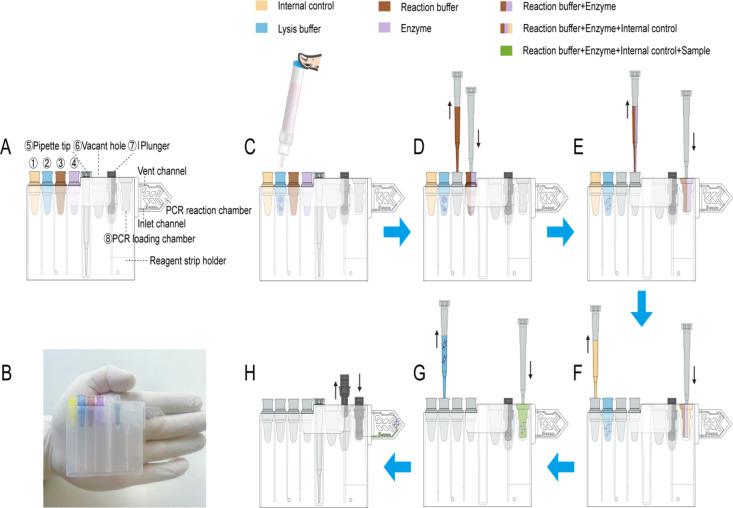 https://cdn.ncbi.nlm.nih.gov/pmc/blobs/ba4b/12012083/d8eba13f4fd6/41598_2025_97155_Fig3_HTML.jpg