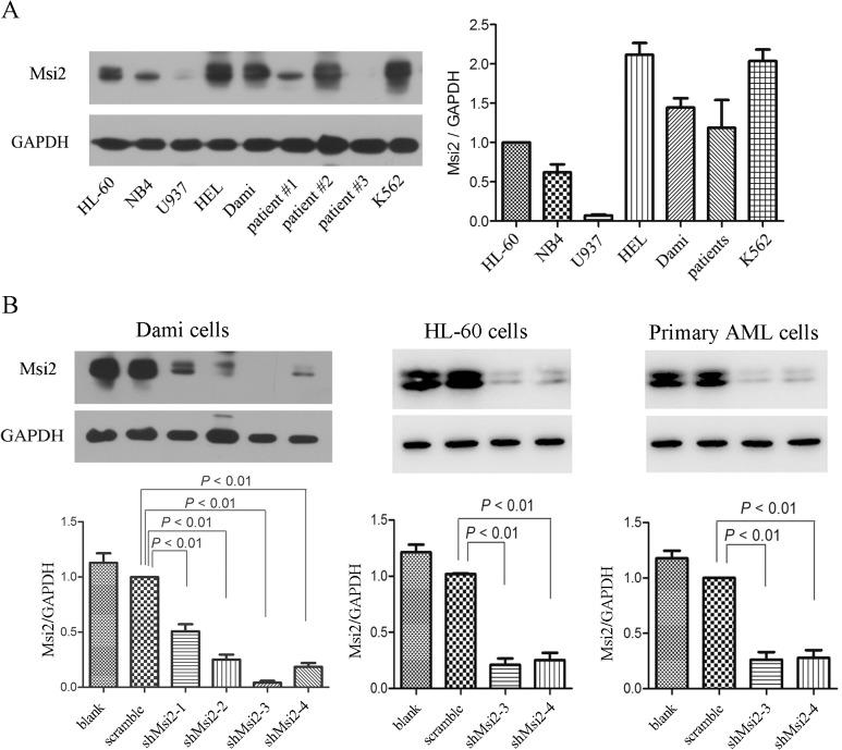 https://cdn.ncbi.nlm.nih.gov/pmc/blobs/ba4c/4550418/85eed63dfa87/pone.0136484.g001.jpg