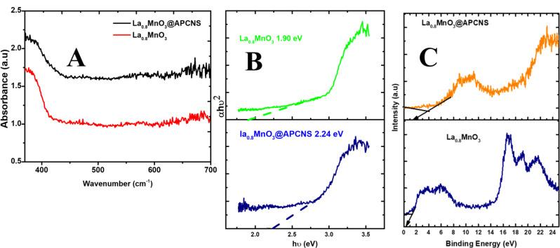 https://cdn.ncbi.nlm.nih.gov/pmc/blobs/ba4d/12228162/00b1796ea312/13065_2025_1578_Fig4_HTML.jpg