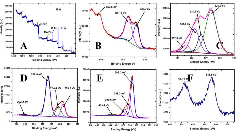 https://cdn.ncbi.nlm.nih.gov/pmc/blobs/ba4d/12228162/bccbad22fc11/13065_2025_1578_Fig3_HTML.jpg