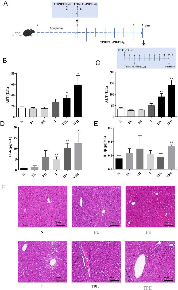 https://cdn.ncbi.nlm.nih.gov/pmc/blobs/ba4f/12278978/143e24bd907a/JIR-18-9477-g0003.jpg
