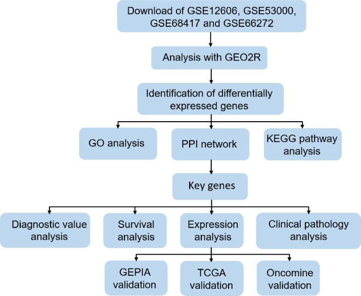 https://cdn.ncbi.nlm.nih.gov/pmc/blobs/ba56/8063882/132dda4e6bd1/peerj-09-11272-g001.jpg
