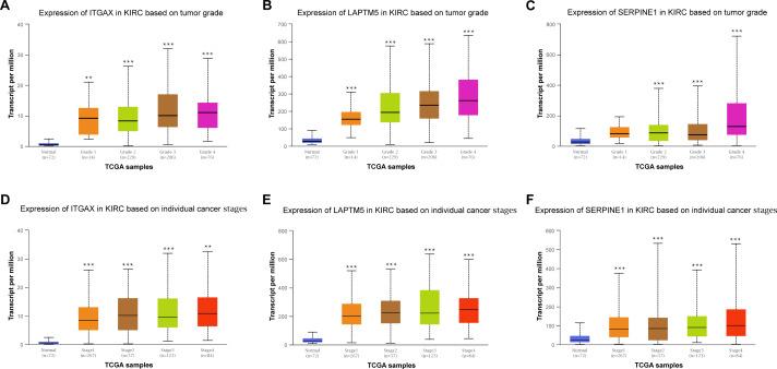 https://cdn.ncbi.nlm.nih.gov/pmc/blobs/ba56/8063882/594c13286b2d/peerj-09-11272-g006.jpg