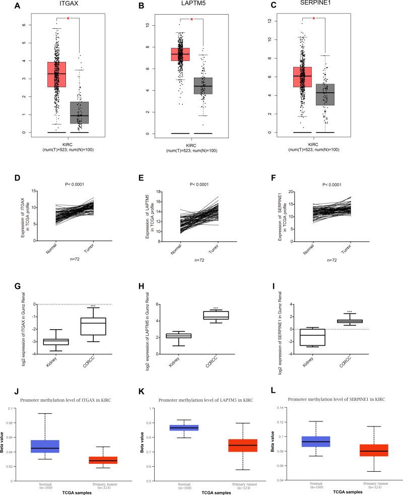 https://cdn.ncbi.nlm.nih.gov/pmc/blobs/ba56/8063882/a439be8a4f3f/peerj-09-11272-g005.jpg