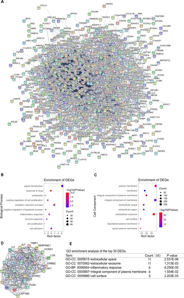 https://cdn.ncbi.nlm.nih.gov/pmc/blobs/ba56/8063882/b4c4d0139734/peerj-09-11272-g004.jpg