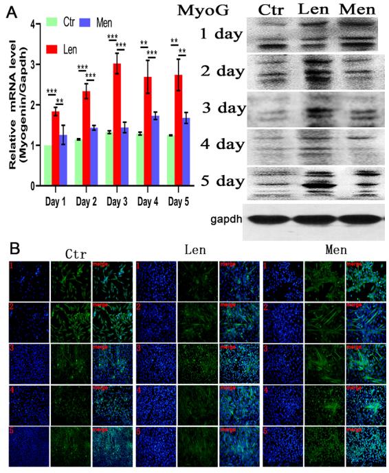 https://cdn.ncbi.nlm.nih.gov/pmc/blobs/ba56/9028610/d56acb16f8d3/thc-30-thc228034-g004.jpg