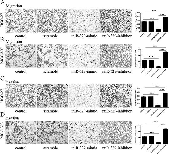 https://cdn.ncbi.nlm.nih.gov/pmc/blobs/ba57/4627328/0e8f2c2d28b1/oncotarget-06-17559-g003.jpg