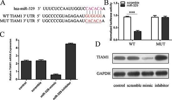 https://cdn.ncbi.nlm.nih.gov/pmc/blobs/ba57/4627328/f71689ebb671/oncotarget-06-17559-g004.jpg