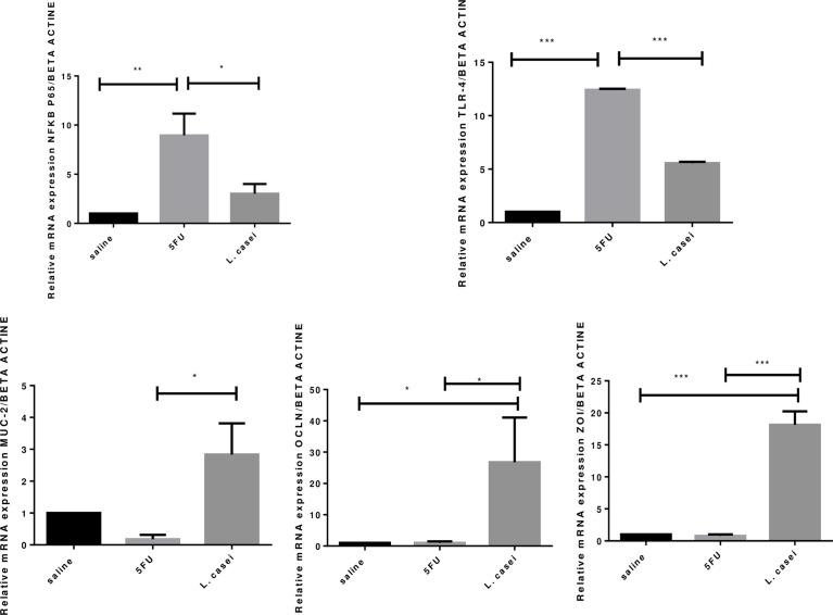 https://cdn.ncbi.nlm.nih.gov/pmc/blobs/ba59/9635922/370698269a1a/fimmu-13-954885-g007.jpg