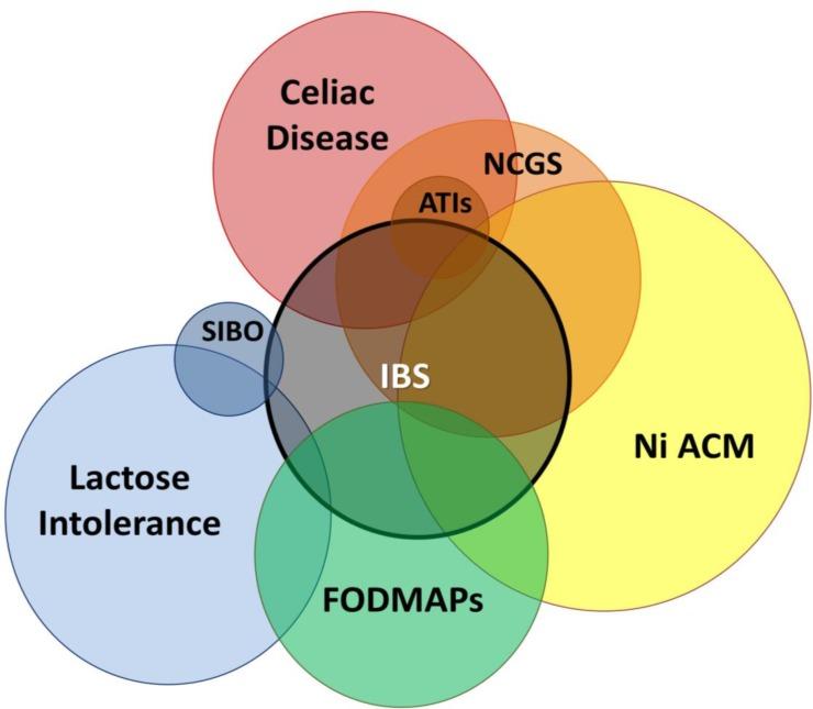 https://cdn.ncbi.nlm.nih.gov/pmc/blobs/ba5a/5495893/da12b58f39c7/GHFBB-10-079-g001.jpg