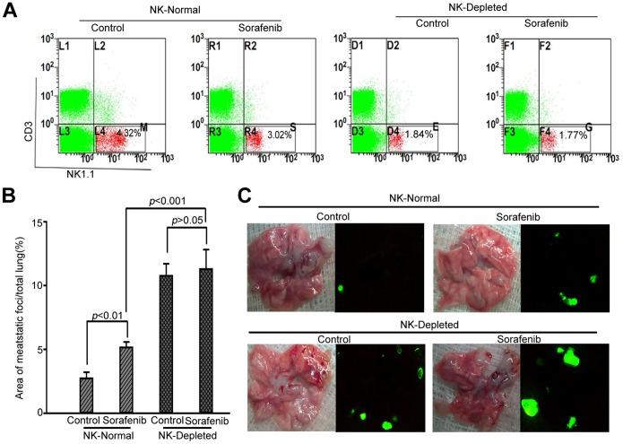https://cdn.ncbi.nlm.nih.gov/pmc/blobs/ba5c/3568028/0cf0a3d4eac9/pone.0055945.g002.jpg