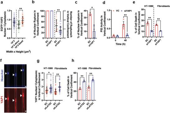 https://cdn.ncbi.nlm.nih.gov/pmc/blobs/ba5e/10427377/4ca8dcf0397e/ADVS-10-2302228-g004.jpg