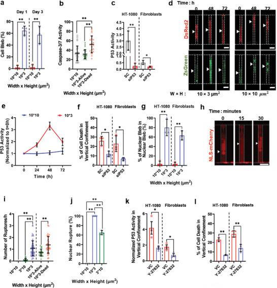 https://cdn.ncbi.nlm.nih.gov/pmc/blobs/ba5e/10427377/86e940f2ed3f/ADVS-10-2302228-g006.jpg