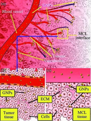 https://cdn.ncbi.nlm.nih.gov/pmc/blobs/ba60/6223939/e2b97cc69d68/40820_2014_25_Fig1_HTML.jpg