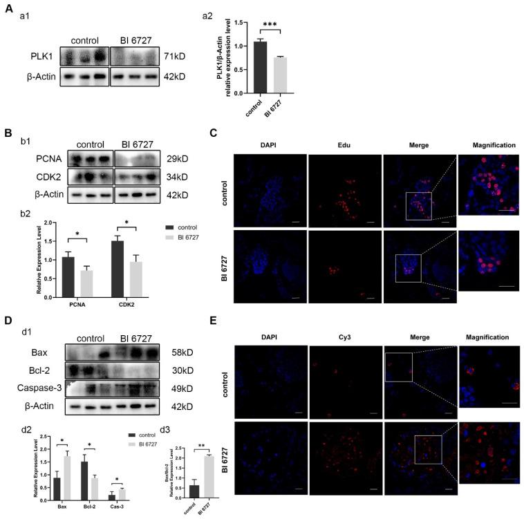 https://cdn.ncbi.nlm.nih.gov/pmc/blobs/ba61/10968087/9a2bd65cab9f/biology-13-00149-g006.jpg