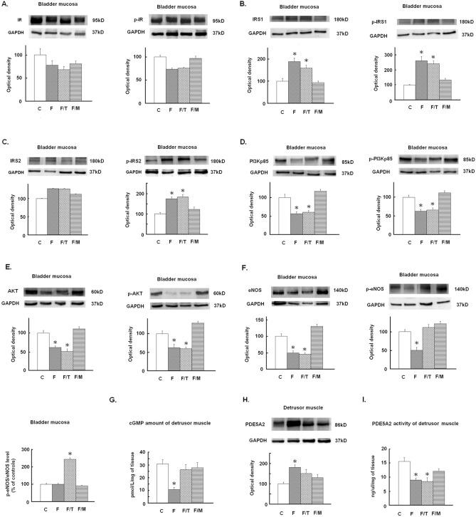 https://cdn.ncbi.nlm.nih.gov/pmc/blobs/ba61/8050041/e25430d44eef/41598_2021_87505_Fig3_HTML.jpg