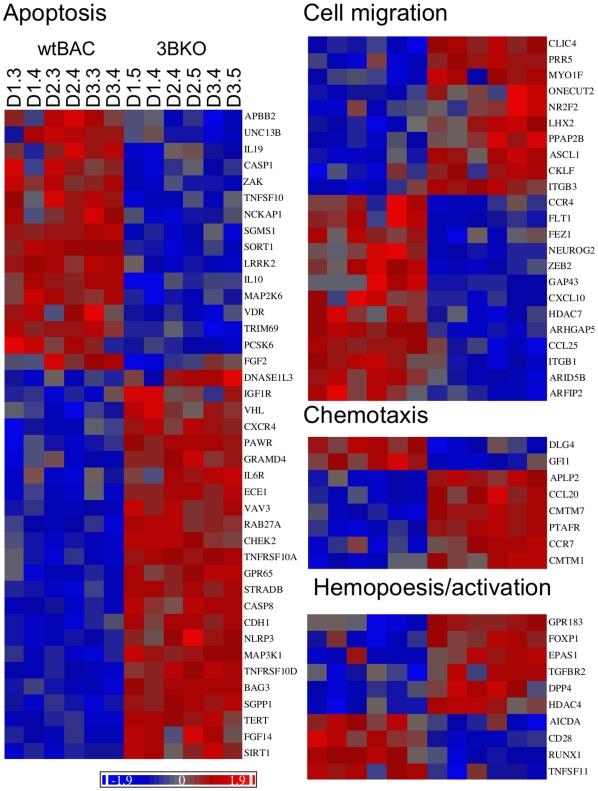 https://cdn.ncbi.nlm.nih.gov/pmc/blobs/ba62/2981562/c05ae696f447/pone.0013979.g009.jpg