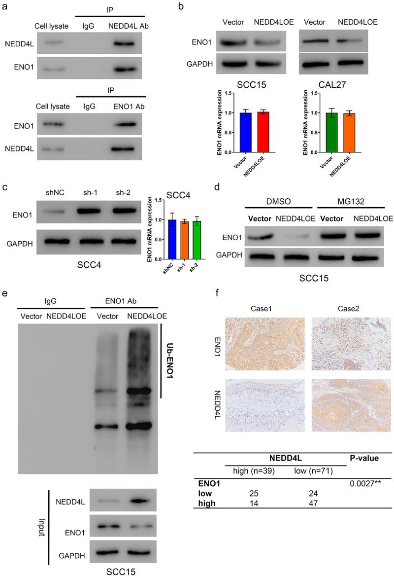 https://cdn.ncbi.nlm.nih.gov/pmc/blobs/ba62/8942561/ade396728833/KCBT_A_2054244_F0004_OC.jpg