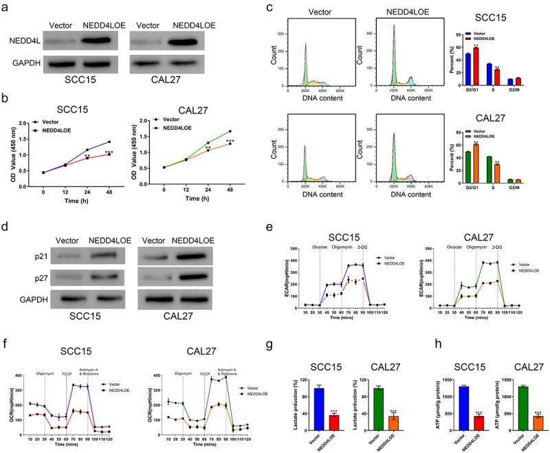 https://cdn.ncbi.nlm.nih.gov/pmc/blobs/ba62/8942561/df8a34965fc0/KCBT_A_2054244_F0002_OC.jpg