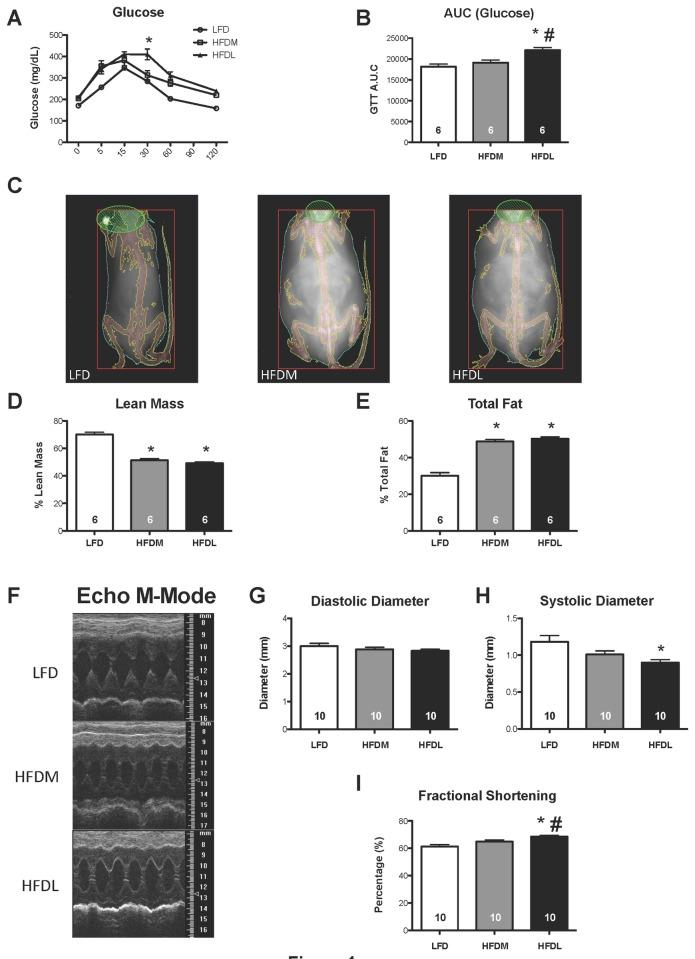 https://cdn.ncbi.nlm.nih.gov/pmc/blobs/ba66/3867436/e47ff5d046f9/pone.0083174.g001.jpg