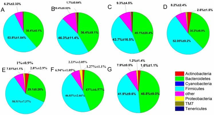 https://cdn.ncbi.nlm.nih.gov/pmc/blobs/ba68/5343854/3fd3977d1f2b/ijms-18-00318-g006.jpg