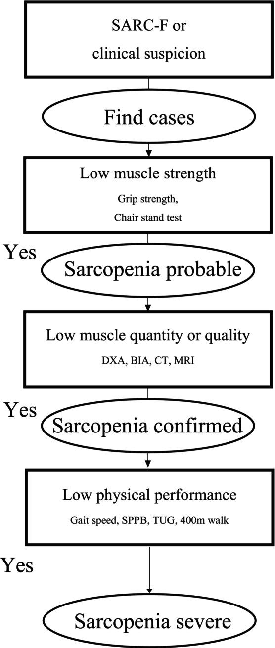 https://cdn.ncbi.nlm.nih.gov/pmc/blobs/ba69/10927916/165fdcc1f193/RMB2-23-e12569-g002.jpg
