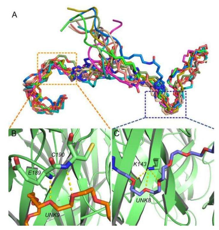 https://cdn.ncbi.nlm.nih.gov/pmc/blobs/ba6a/6563025/43167738d8c4/marinedrugs-17-00303-g005.jpg