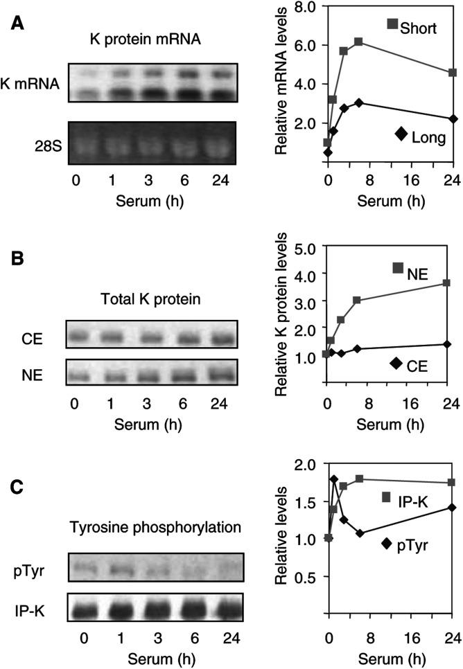 https://cdn.ncbi.nlm.nih.gov/pmc/blobs/ba6c/2394341/803de165e0d7/89-6601250f2.jpg