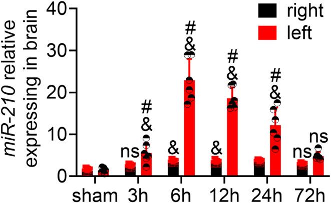 https://cdn.ncbi.nlm.nih.gov/pmc/blobs/ba70/12141382/a192d48247da/11064_2025_4434_Fig3_HTML.jpg