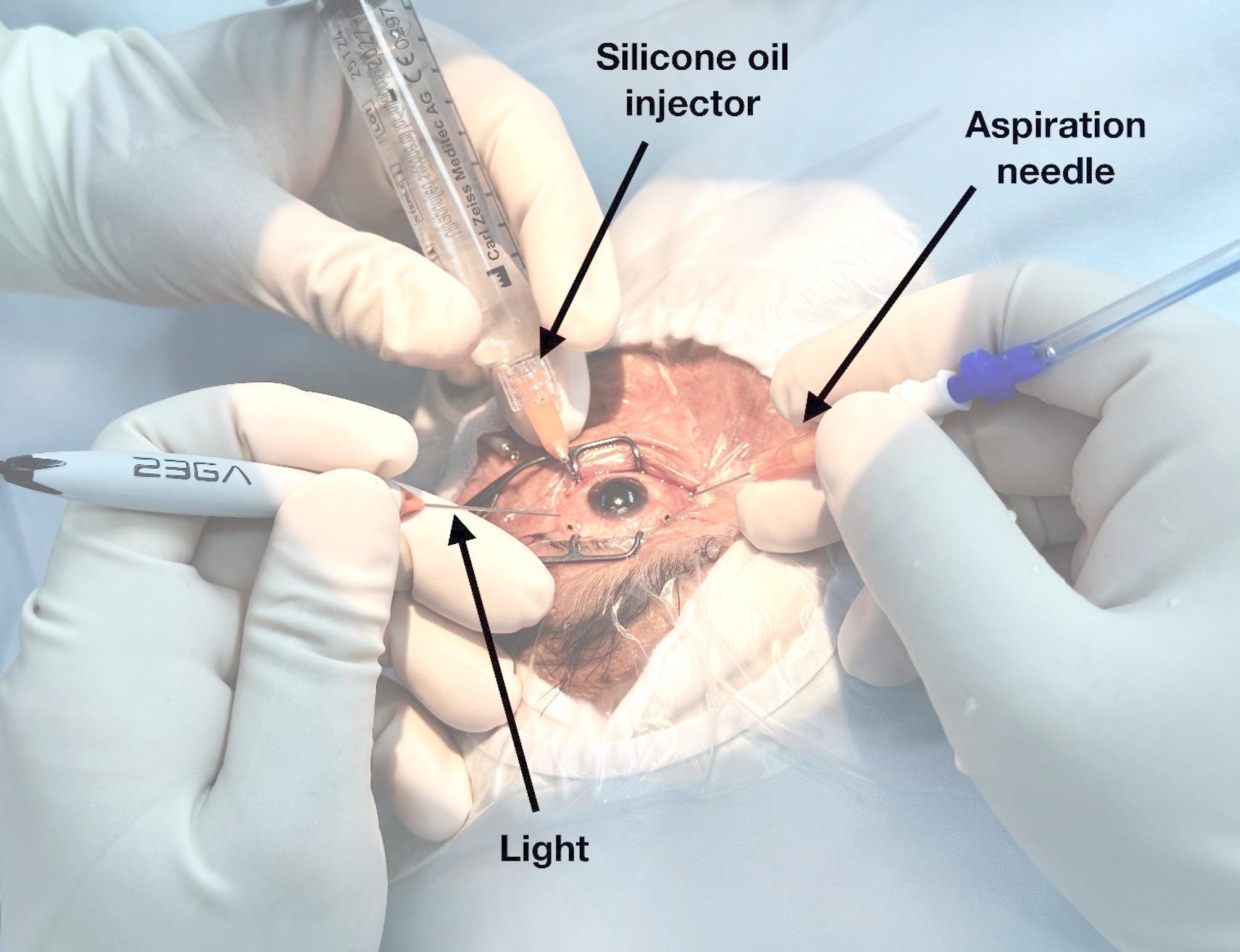 https://cdn.ncbi.nlm.nih.gov/pmc/blobs/ba71/12323066/db1f5c1bedaf/12886_2025_4281_Fig1_HTML.jpg