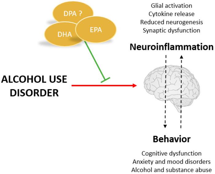 https://cdn.ncbi.nlm.nih.gov/pmc/blobs/ba72/10346343/91f5a6ebc3e4/nutrients-15-02993-g003.jpg