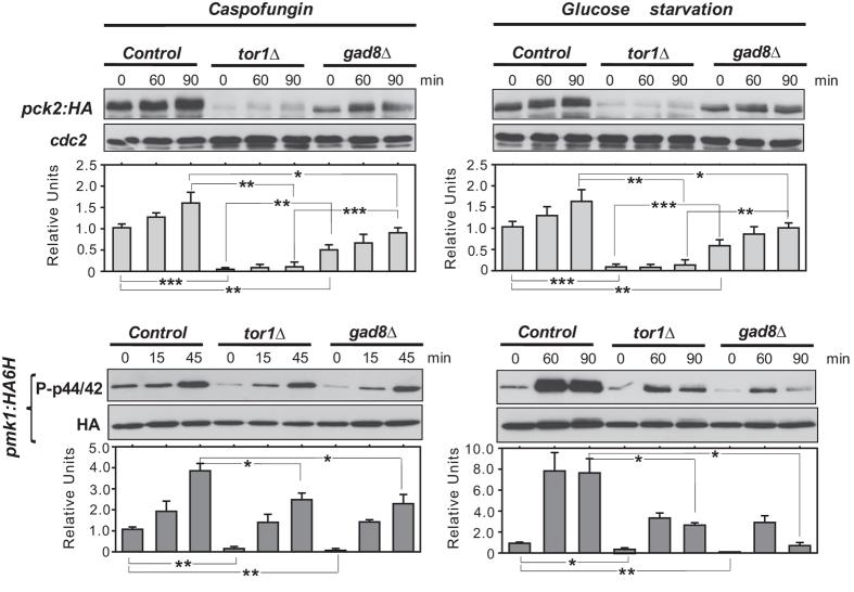 https://cdn.ncbi.nlm.nih.gov/pmc/blobs/ba72/5120329/78f343aa5aa0/srep37515-f1.jpg