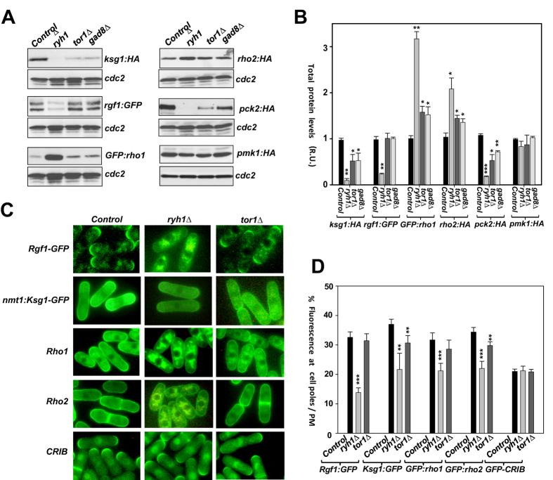 https://cdn.ncbi.nlm.nih.gov/pmc/blobs/ba72/5120329/ab841dc8543e/srep37515-f5.jpg