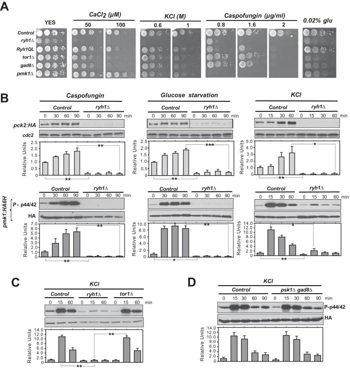 https://cdn.ncbi.nlm.nih.gov/pmc/blobs/ba72/5120329/f1e58918f6d2/srep37515-f4.jpg