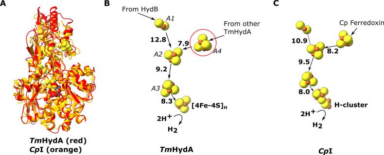 https://cdn.ncbi.nlm.nih.gov/pmc/blobs/ba73/9499530/95255d76800d/elife-79361-fig3.jpg