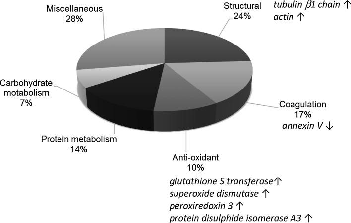 https://cdn.ncbi.nlm.nih.gov/pmc/blobs/ba74/5334395/f7859f2ff6b4/394_2016_1265_Fig2_HTML.jpg